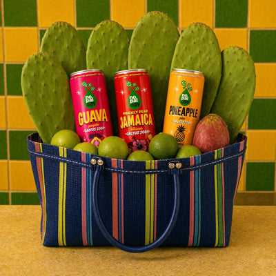 Why Nopal(ogy)?